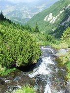 fresh water waterfall