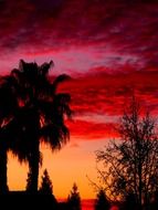 bright pink sunset over the tropical coast