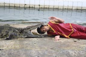 Dangerous show with a crocodile