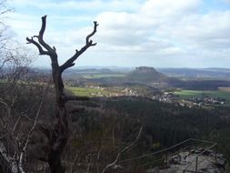 Landscape with dead tree, germany, Saxon Switzerland