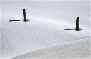 snow winter white