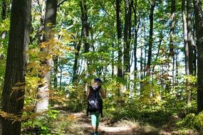 enchanting hiking trail path