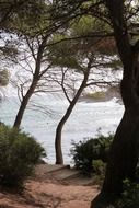 path to see in Mallorca