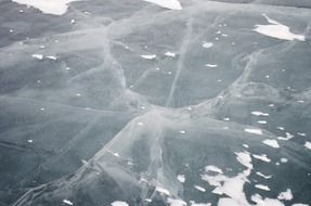 grass field in winter