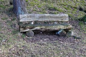 old wooden park bench