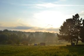 landscape of forest at the sunrise light