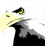 graphic image of a fearsome eagle