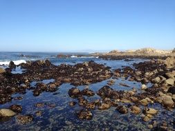 Pacific Grove in California