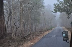 creepy and mysterious fog