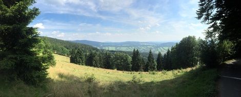 panorama forest trees sky view
