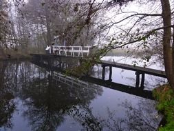 terrific netherlands stream