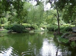 pond in a botanical garden in Japan