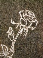 Rose on the tombstone