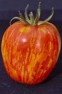 healthy tomato vegetables