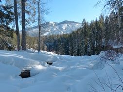 canada winter landscape