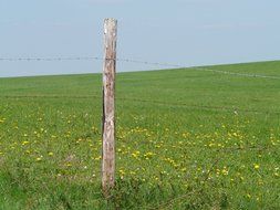 fence of wooden poles and wire along the field