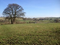 green field in the countryside on a sunny day