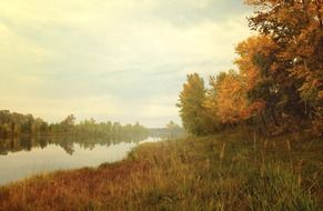 picturesque autumn forest on the river bank