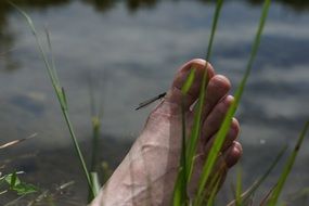 foot ten water