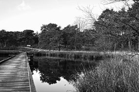 lake web black and white recording