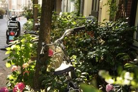 Summer holidays in netherlands
