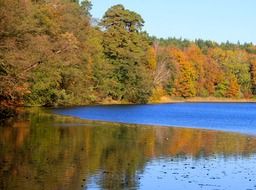 reflection of autumn trees in a lake