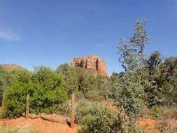 fascinating arizona desert