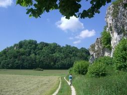 country road in the meadow