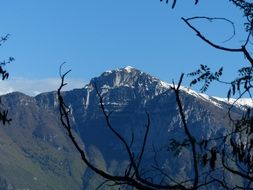 mountain behind tree branches
