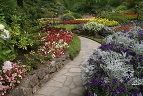trail in the botanical garden