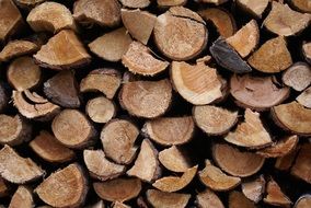 a pile of firewood lie in a heap