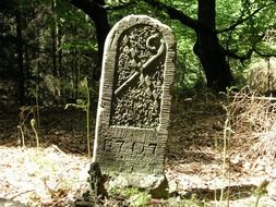 landmark forest blankenrode
