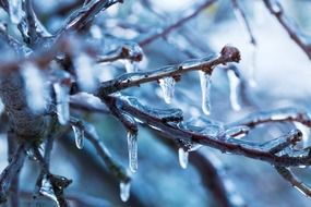 terrific crystal freeze close-up on blurred background