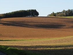 brown arable field under blue sky, rural landscape