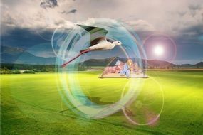 flying stork with a baby