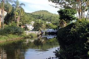 Landscape with the water in the lake