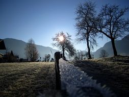 winter mood on a frosty day