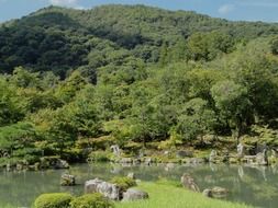Green forests in Kyoto, Japan