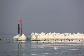 landscape of birds and ice floes on the lake