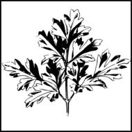 graphic image of a black-white branch in a frame