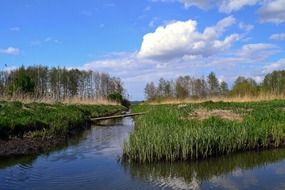 countryside river panorama in Poland