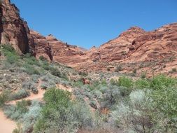 Landscape of the desert in summer