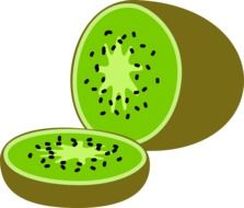 sliced kiwi fruit as a colorful illustration