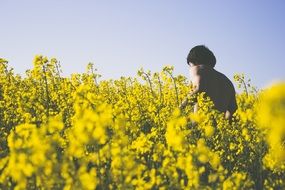 Young man on the field with yellow flowers