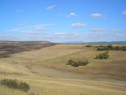 picturesque landscape of fields in Ukraine