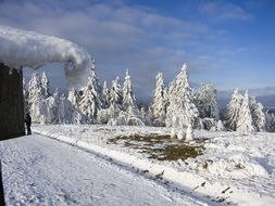 winter landscape of nature