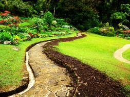 landscape design in the park in Sri Lanka