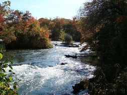 autumn trees and clear river stream