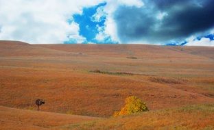 landscape of fields in Colorado