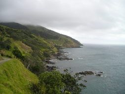 fog over the picturesque coast of the north island in new zealand